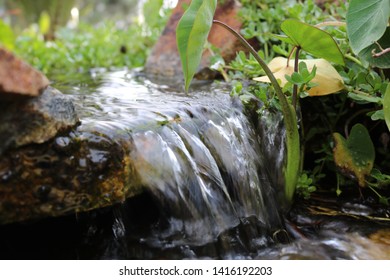 small water fall in a stream