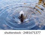 Small water fountain in a pool covered with small rocks