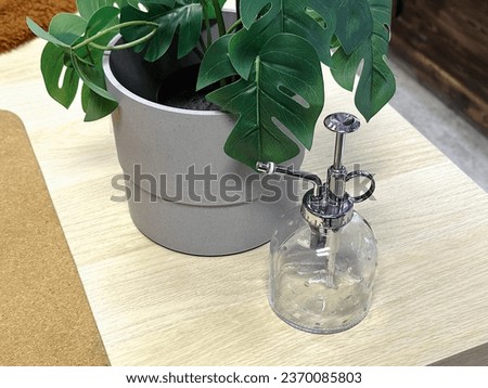 Small water nozzle for spraying water on plants in the room.