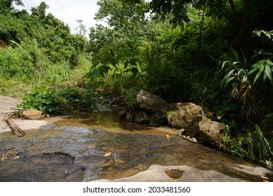 Small Water Stream Among Rocky Forest Area