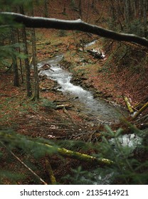 Small Water Stream, Bieszczady, Poland