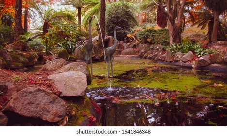 Small water stream coming out of a fountain shaped like The Great Egret bird. A fountain symbolize joy and peace. A dream about fountain signifies the relationship dynamic of someone