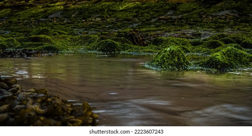 Small Water Stream With Green Rock Formations