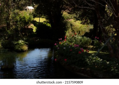 A Small Water Stream In A Park Filled With Dark Shadows