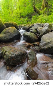 Small Waterfall Along Ruckel Creek In Columbia River Gorge National Scenic Area Oregon