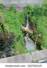 Small Waterfall In The Back Garden End Green