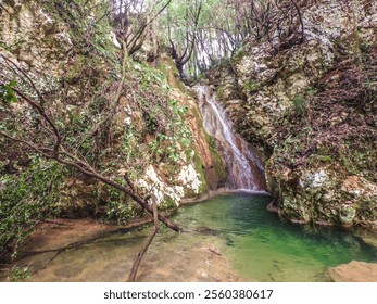 Small waterfall cascading into a tranquil pool within a lush, rocky gorge. - Powered by Shutterstock