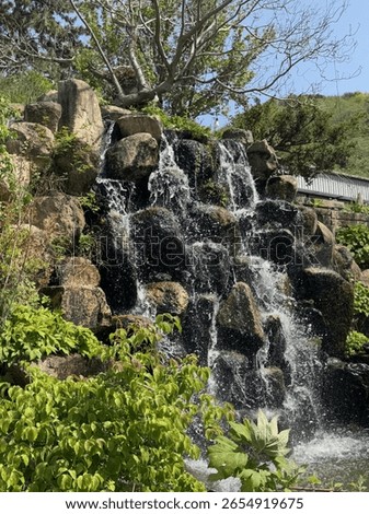 A small waterfall cascading over rocks surrounded by lush greenery in a natural setting.