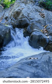 Small waterfall cascading over smooth grey rocks in a serene forest creek with fresh flowing water.