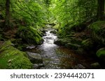 Small waterfall in deep forest covered with green trees. Amazing landscape with a small waterfall in a forest with stone 