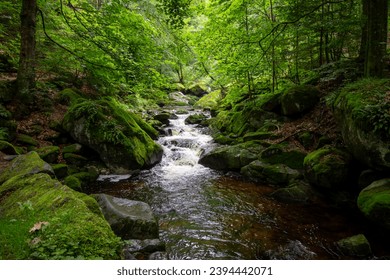 Small waterfall in deep forest covered with green trees. Amazing landscape with a small waterfall in a forest with stone  - Powered by Shutterstock