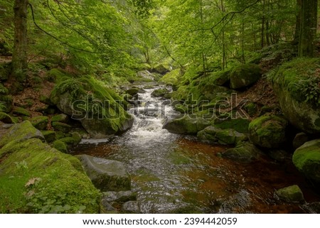 Small waterfall in deep forest covered with green trees. Amazing landscape with a small waterfall in a forest with stone 