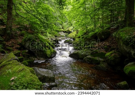 Small waterfall in deep forest covered with green trees. Amazing landscape with a small waterfall in a forest with stone 