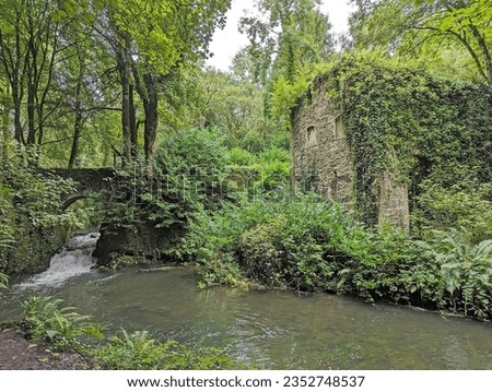 A small waterfall flowing into the River Sow in Ireland through an old arched bridge and next to a ruined building which is covered in green ivy and forest plants. Picturesque scene at Evendale in Wex