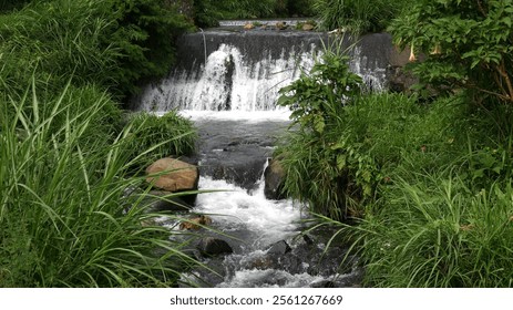 Small waterfall flowing rapidly surrounded by lush green vegetation, including tall grasses and several plants with yellow and pink flowers at its edges, long exposure - Powered by Shutterstock