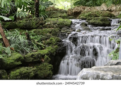 A small waterfall flows down from the top along with moss growing on the rocks. - Powered by Shutterstock