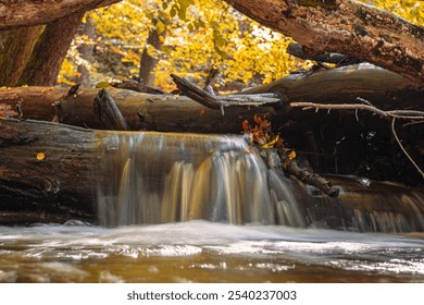 A small waterfall flows gently in a scenic autumn forest. The surrounding trees display vibrant fall colors, enhancing the beauty of the sunny day.  - Powered by Shutterstock