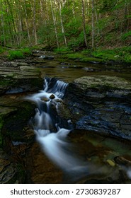 A small waterfall flows in late spring on Double Run, Sullivan County, Pennsylvania