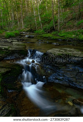 A small waterfall flows in late spring on Double Run, Sullivan County, Pennsylvania