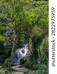 A small waterfall flows over dark rocks into a clear pool, framed by dense green foliage and overarching tree branches in Vietnam. Xa am Thuy, Vietnam