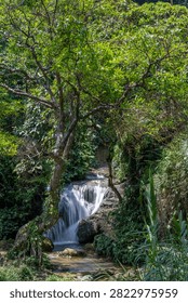 A small waterfall flows over dark rocks into a clear pool, framed by dense green foliage and overarching tree branches in Vietnam. Xa am Thuy, Vietnam