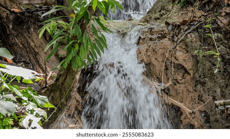 small waterfall flows over a rocky surface surrounded by lush greenery. - Powered by Shutterstock