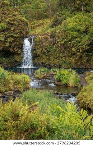 Small waterfall flows through lush tropical greenery at Pua'a Ka'a State Wayside in Maui, Hawaii, USA.
