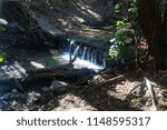            small waterfall in a forest                     