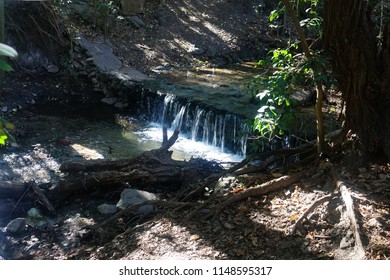            small waterfall in a forest                     