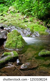 Small waterfall in the forest