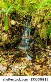 small waterfall in the forest 