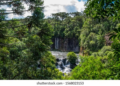 Small waterfall in the forest.