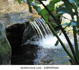 A Small Waterfall in the forest