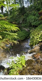 small waterfall in the forest