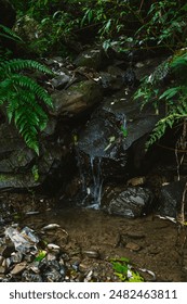 Small waterfall in the forest