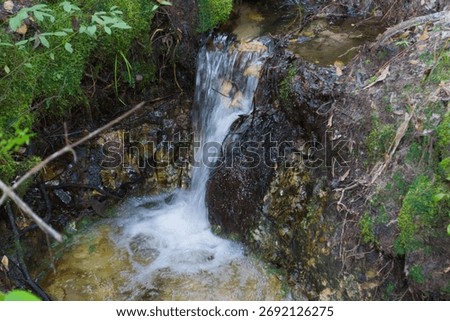 small waterfall in the forest