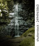 Small waterfall at a forest and hill tracking surrounded by leaves and moss