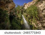 The small waterfall, green bushes, and dry rocks deep in the Middle East oasis at Ein Gedi national reserve in Israel.
