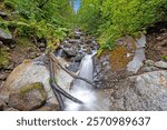 Small waterfall with long exposure creating silky water effect in lush green forest duirng daytime