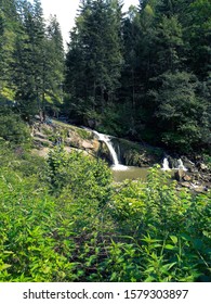 A small waterfall in the middle of the forest.