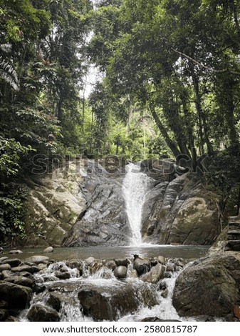 A small waterfall in the middle of the forest