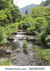 Small waterfall and mountain stream flowing through a lush green forest in Japan.