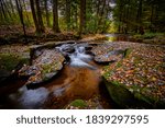 Small waterfall on Flat Lick Creek near Gray Hawk, Kentucky.