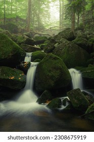 A small waterfall over rocks in a forest