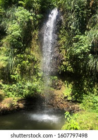 Small Waterfall In St. Lucia