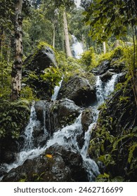 small waterfall under a tree with rocks