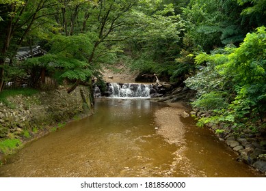Small waterfall in the woods