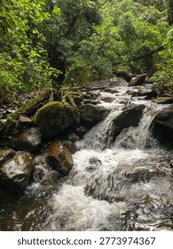 Small waterfalls cascading under a rustic wooden footbridge in the lush tropical cloud forest of Salento, Colombia, during a bright beautiful day.