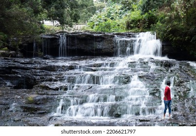 Small Waterfalls In Kerala Forest