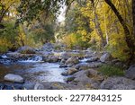 Small waterfalls on Oak Creek with green and yellow trees on the bank. Oak Creek Canyon, Sedona, Arizona. 